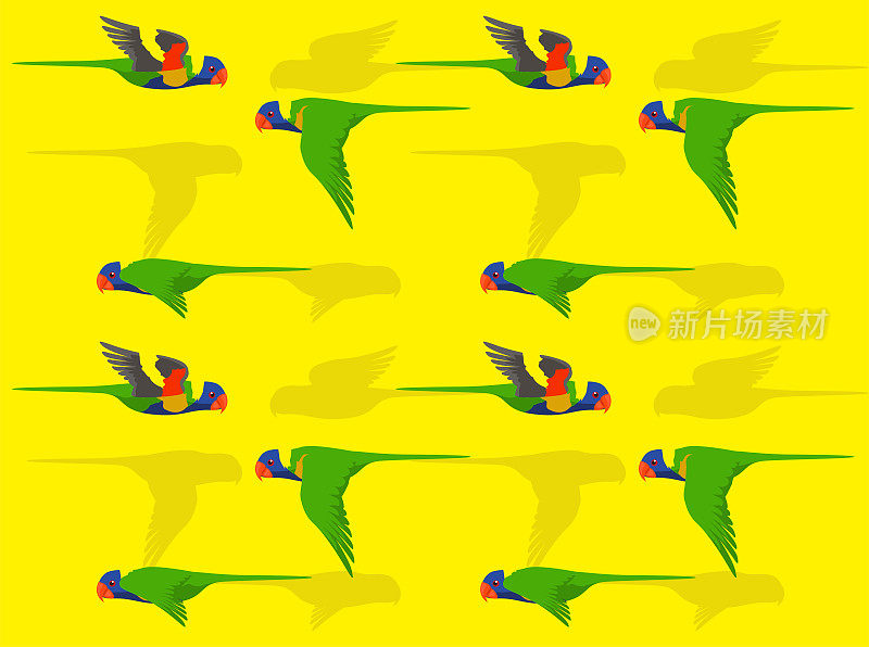 彩虹鹦鹉动画无缝墙纸背景