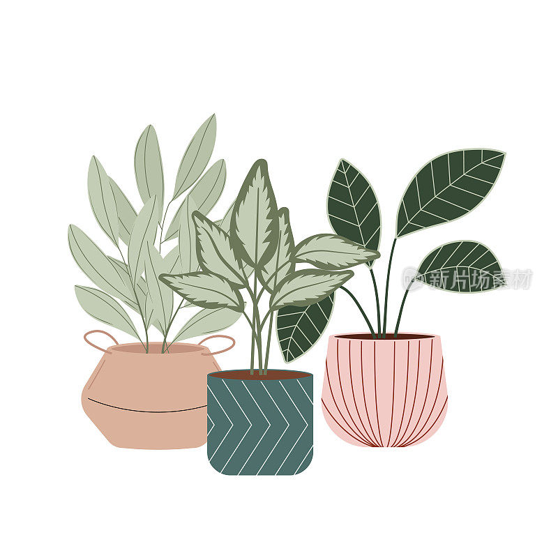 盆栽房子植物矢量平面插图。家庭和办公室室内装饰。