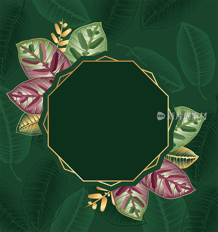 夏季热带树叶框架，热带棕榈叶背景壁纸。设计婚礼请柬，贺卡，明信片的插图。