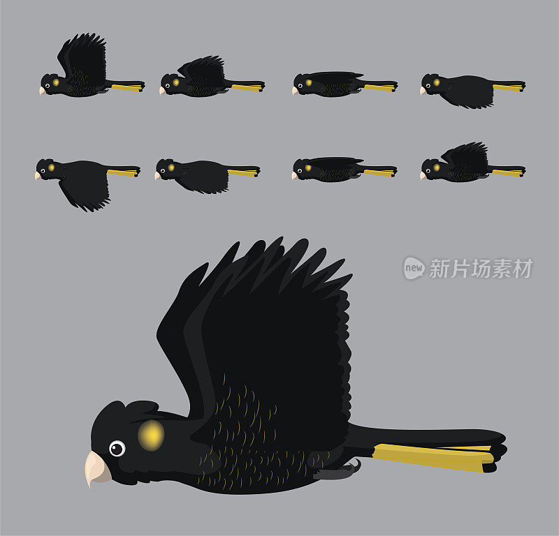 黄尾黑凤头鹦鹉飞行动画序列卡通向量