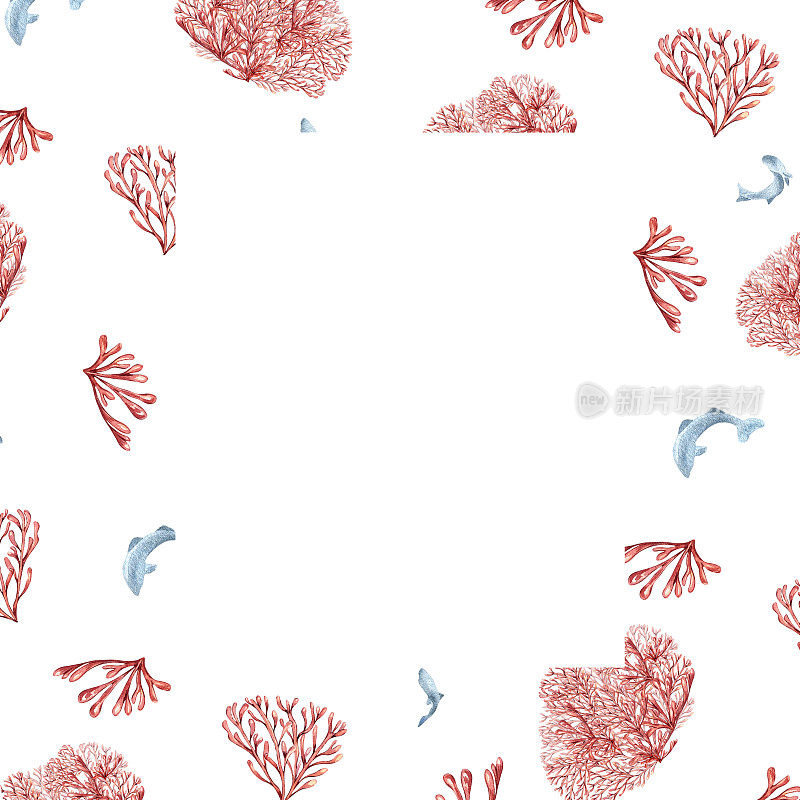 框架的海洋植物，珊瑚水彩孤立在白色的背景。粉红色琼脂海藻和鱼手绘。设计元素的包装，邀请，标签，板，包装，海洋收集