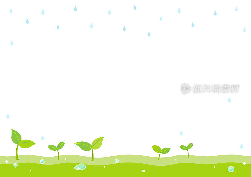 带雨滴的豆芽。春天的背景。