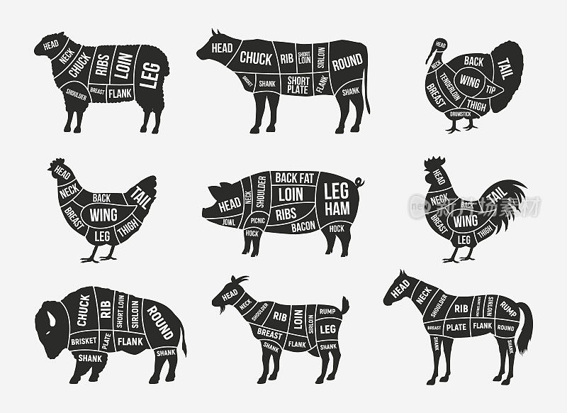 屠夫图，方案集。羊肉，羔羊肉，猪肉，水牛，鸡肉，火鸡，马，山羊肉切。供屠宰场、肉店、餐厅、杂货店用的肉片。矢量图