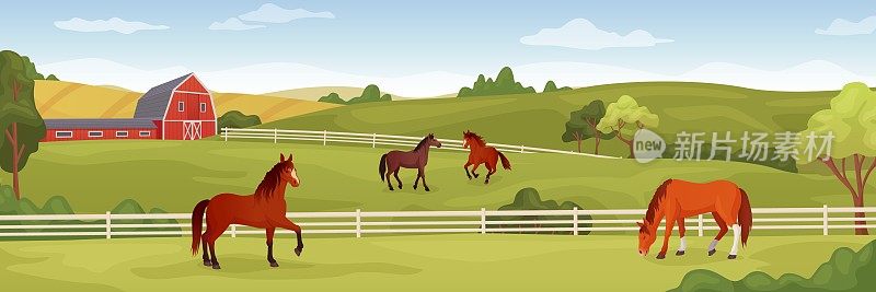马场景观。马术牧场马厩院子里奔跑的马匹，夏日田野上吃草的马，纯种种马牧场全景背景巧妙的矢量插画
