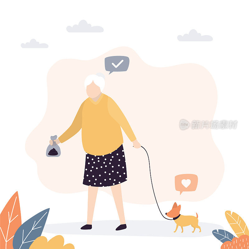 老太太带着宠物在公园散步。老人用皮带拴住狗。狗在散步时拉屎。用特殊的袋子收集粪便。奶奶在收拾小狗的烂摊子。