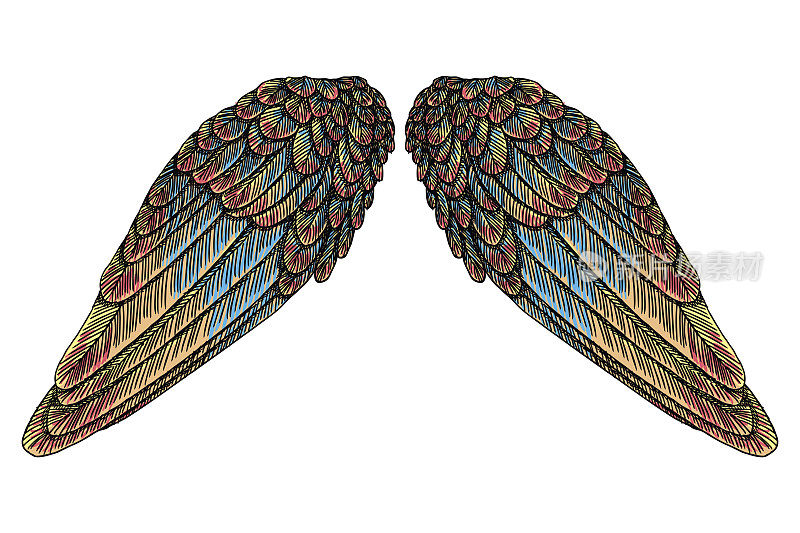 不同形状的神圣多彩的鸟翅膀在开放的位置孤立在白色的背景。彩色天使翅膀手绘素描。时髦的纹身或复古的身体艺术概念。向量。