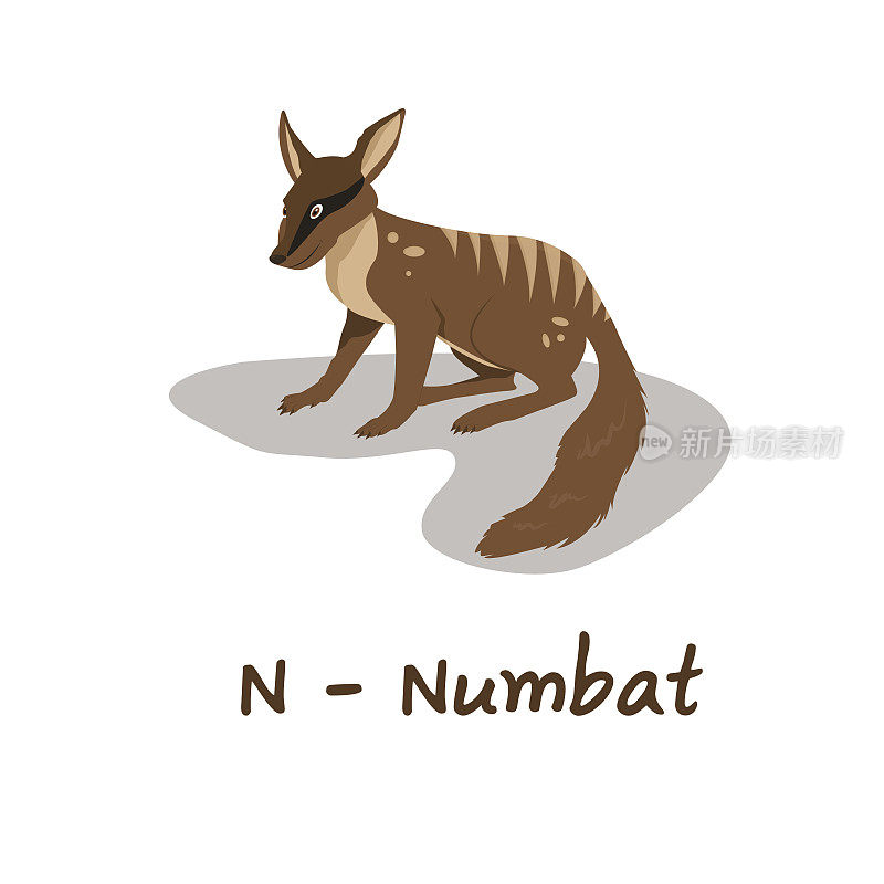 孩子们的独立动物字母，N代表Numbat