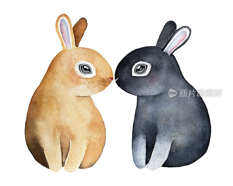 两只可爱的小兔子用鼻子接吻。浪漫的约会、会议。黑灰色和米黄色，大眼睛炯炯有神。侧剖面视图。