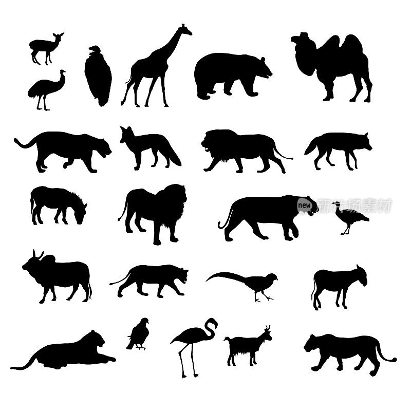 一套不同的动物和鸟类的黑色剪影矢量插图