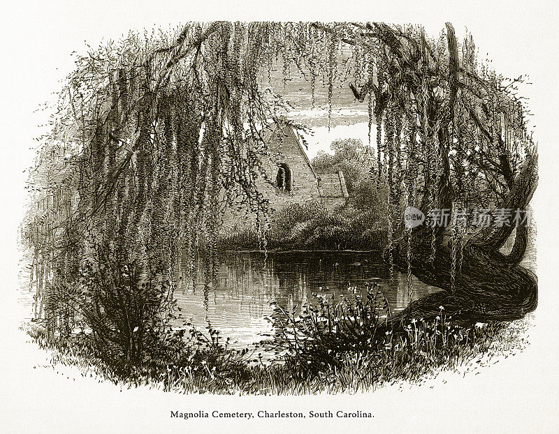 美国南卡罗来纳州查尔斯顿鹅溪木兰花公墓，美国维多利亚版画，1872年