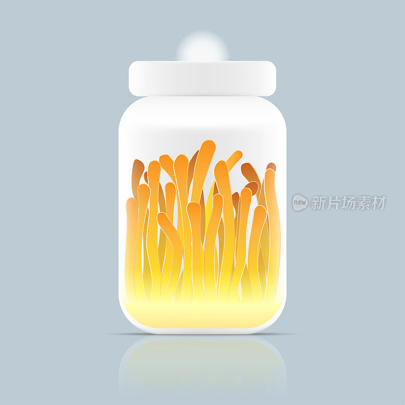 一个冬虫夏草卡通矢量插画设计。“冬虫夏草”是一种闻名亚洲的药用菌和食用菌。桔黄色的健康蘑菇种植在农场。