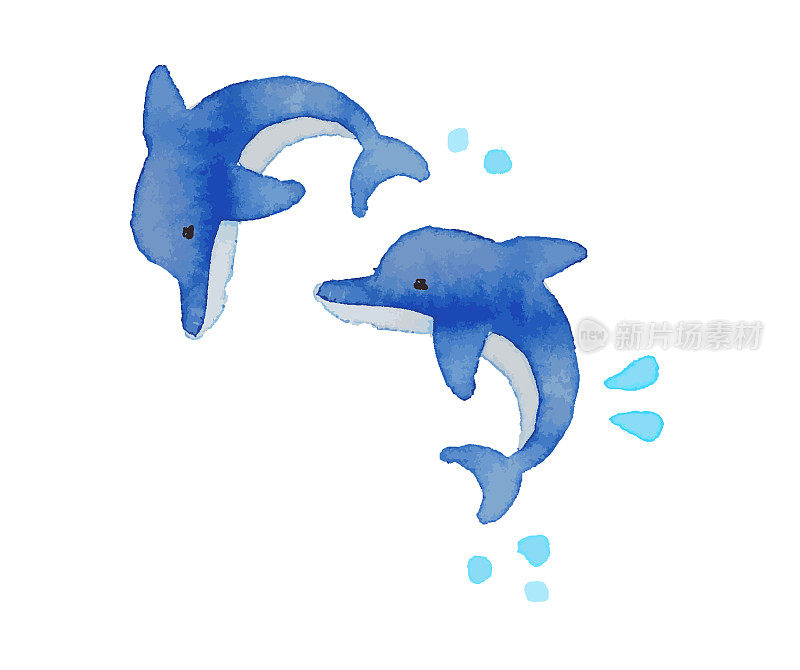 两只海豚溅起水花跳跃