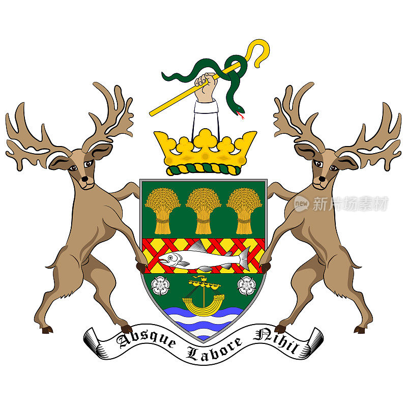 爱尔兰阿尔斯特郡Down的盾形纹章