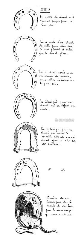 马、骑士和骑兵的古董插图:马蹄铁，18世纪