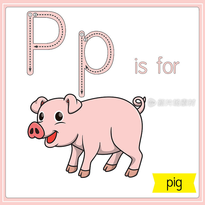 矢量插图学习字母为儿童与卡通形象。字母P代表猪。