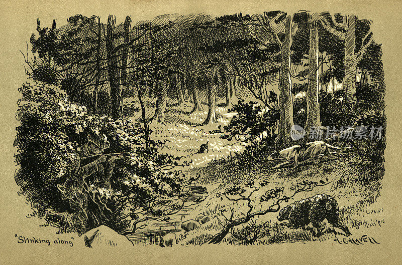 隐藏在灌木丛中的猎人或偷猎者，猎狗在跟踪猎物，19世纪的维多利亚时代