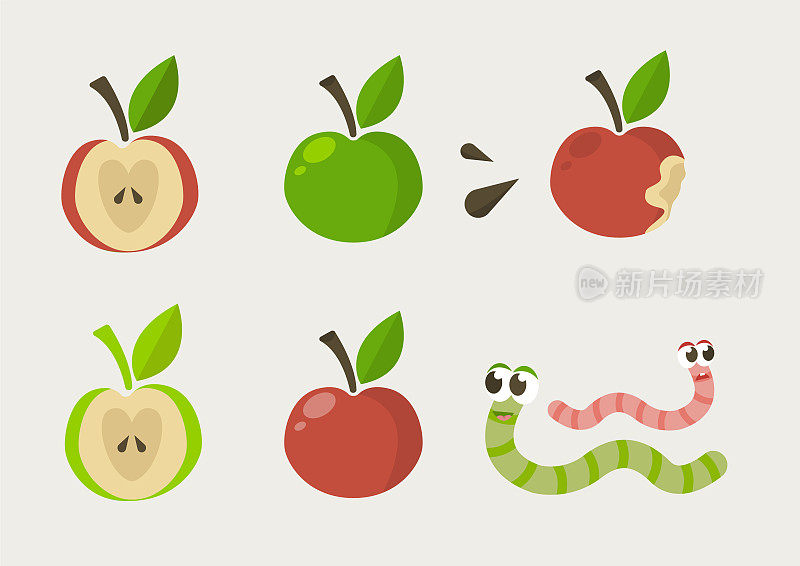 红苹果和青苹果配暖器。水果的设计元素。整个苹果，切片，树叶和苹果种子向量设计元素分离在白色。红的、绿的和红的苹果齐备。矢量图