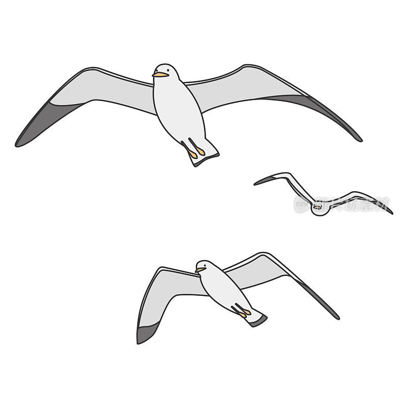 手绘风格矢量插图海鸥孤立的背景。