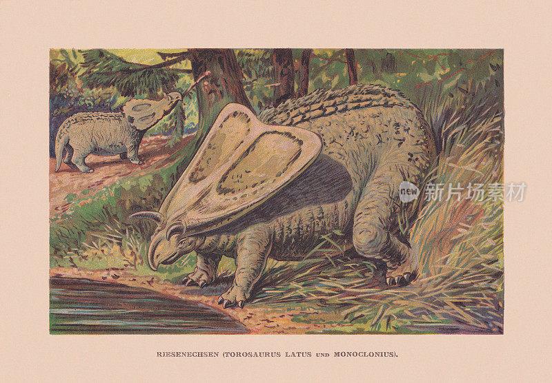 牛角龙和独角龙，白垩纪，石刻，1900年出版