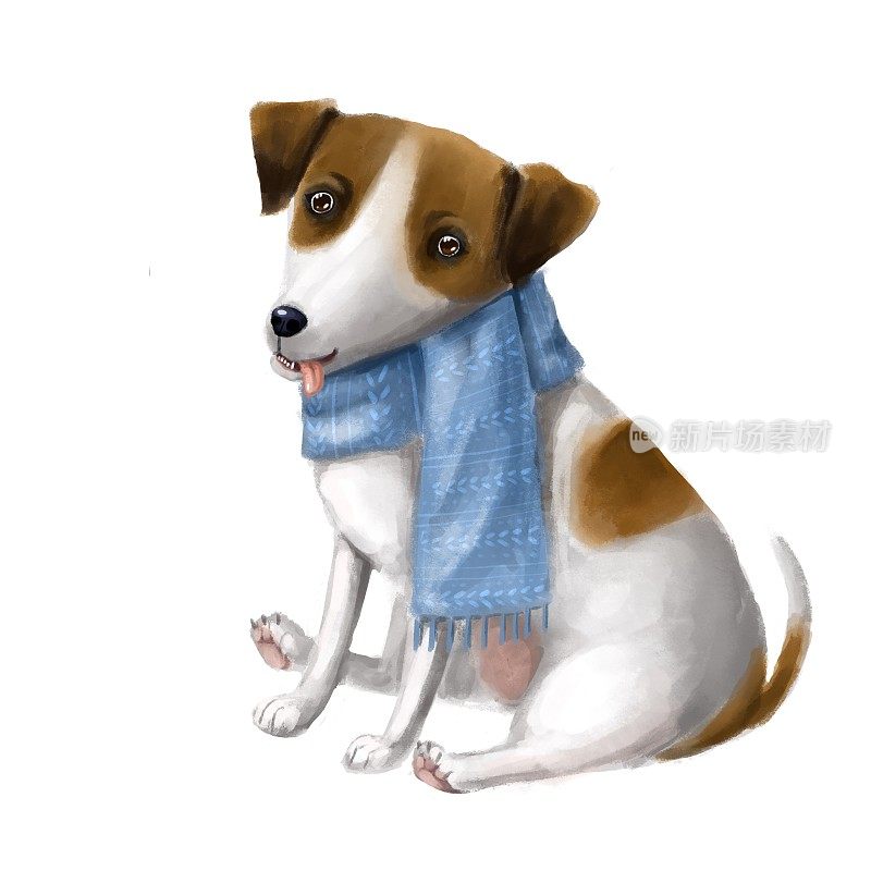 可爱的狗狗戴着温暖的围巾和愚蠢的脸，