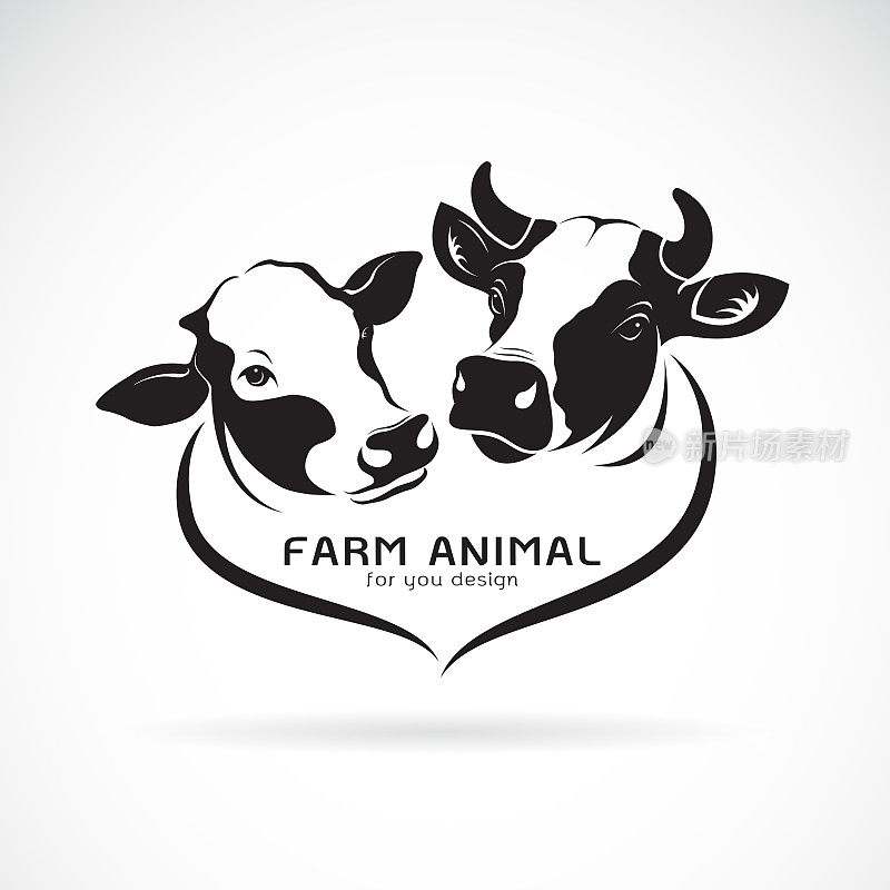 白色背景上两只牛头设计的矢量。动物农场。奶牛图标或标志。易于编辑的分层矢量插图。