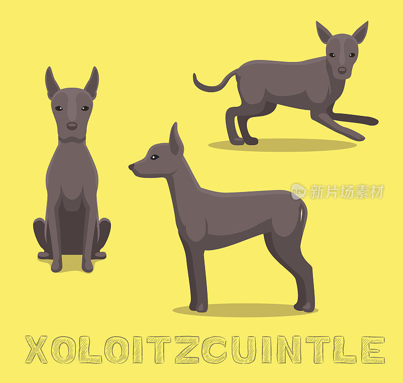 狗Xoloitzcuintle卡通矢量插图