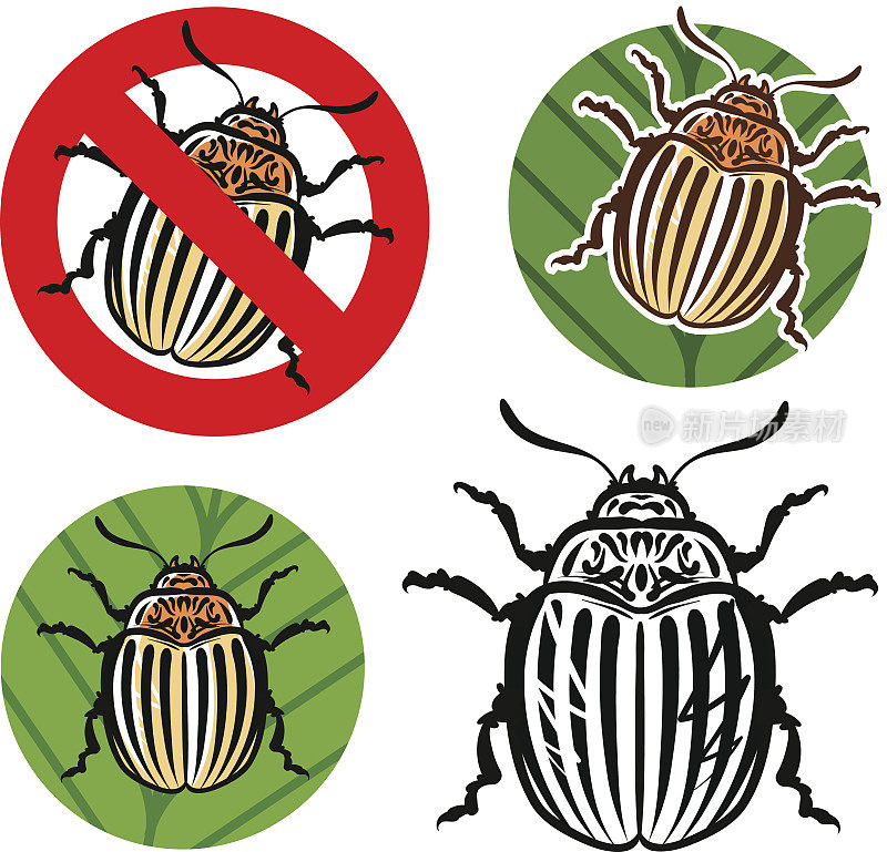 科罗拉多州马铃薯甲虫和禁止标志。矢量图