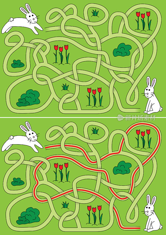 兔子迷宫