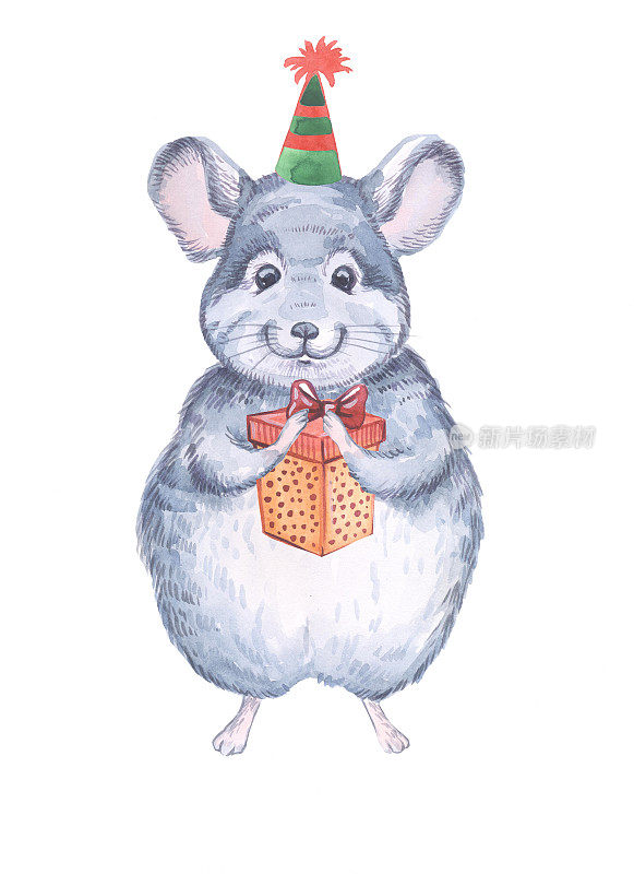 一只栗鼠带着礼物，在一顶水彩画上形象过年