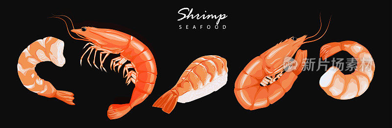 虾，无壳虾，虾肉。虾虾图标设置。水煮虾画在白色的背景上。