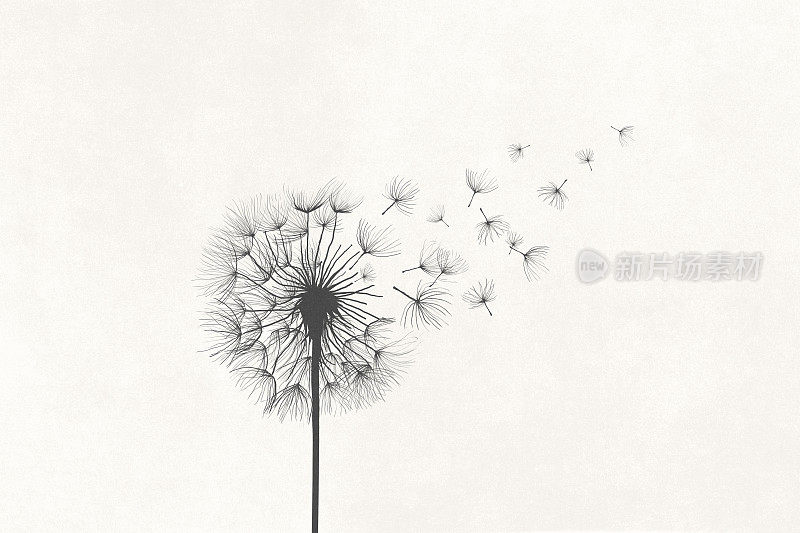 蒲公英随风在天空中消失的插画，超现实的概念符号