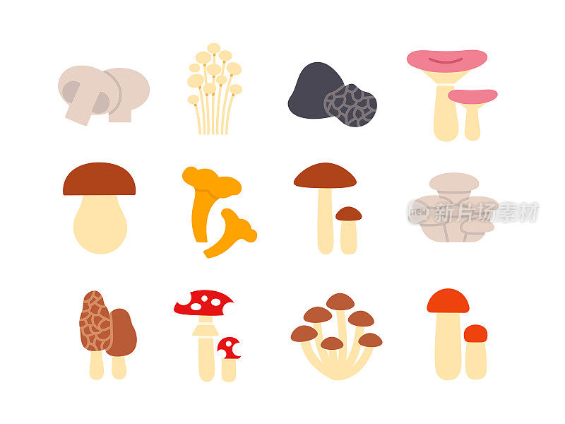 蘑菇的图标集。矢量孤立的平面彩色图标。字形设计。香槟酒、金针菇、松露、红菇、牛肝菌、鸡油菌、牡蛎、羊肚菌、苍蝇、木耳、蜂蜜、伞菌、白桦、箭