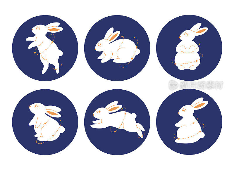 可爱的小白兔摆出不同的姿势。兔年。中秋节。新2023年。手绘矢量插图