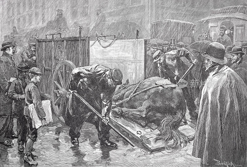 纽约市，一辆马救护车，1888年