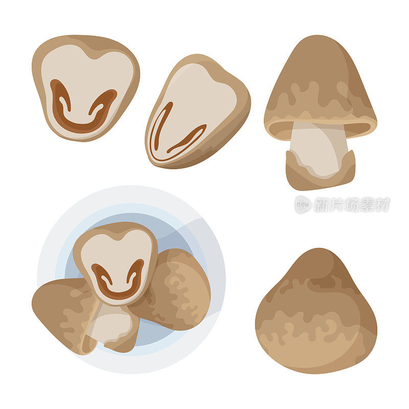 稻草蘑菇图标集。泰国汤蘑菇的简单图标。