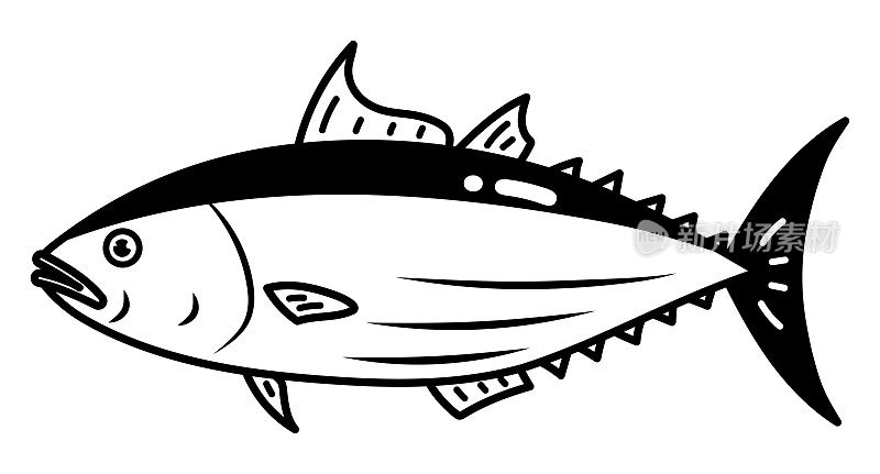 鲣鱼金枪鱼隔离矢量插图。