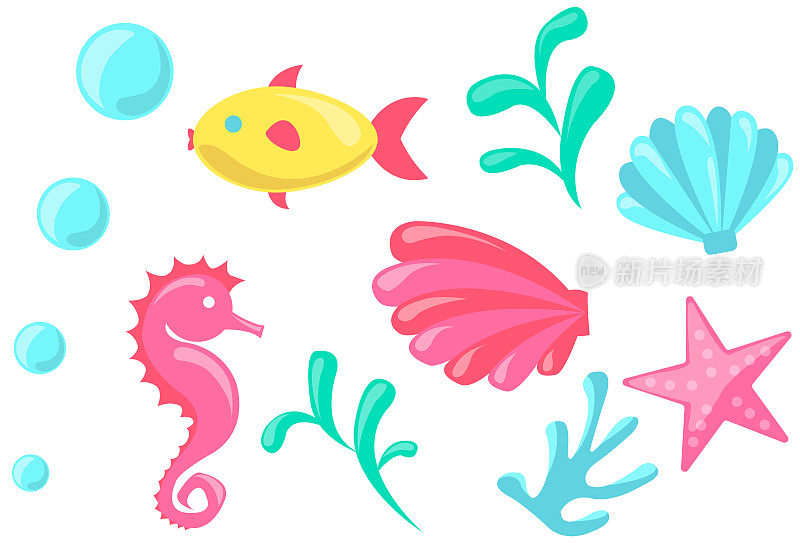 彩色的鱼，贝壳，泡泡，珊瑚，藻类，海星和海马在白色的背景