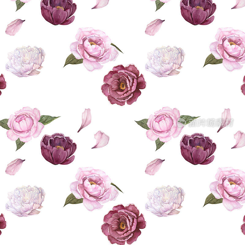 水彩无缝图案，粉红色牡丹花瓣和牡丹花