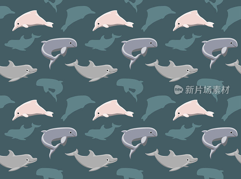 海豚壁纸4