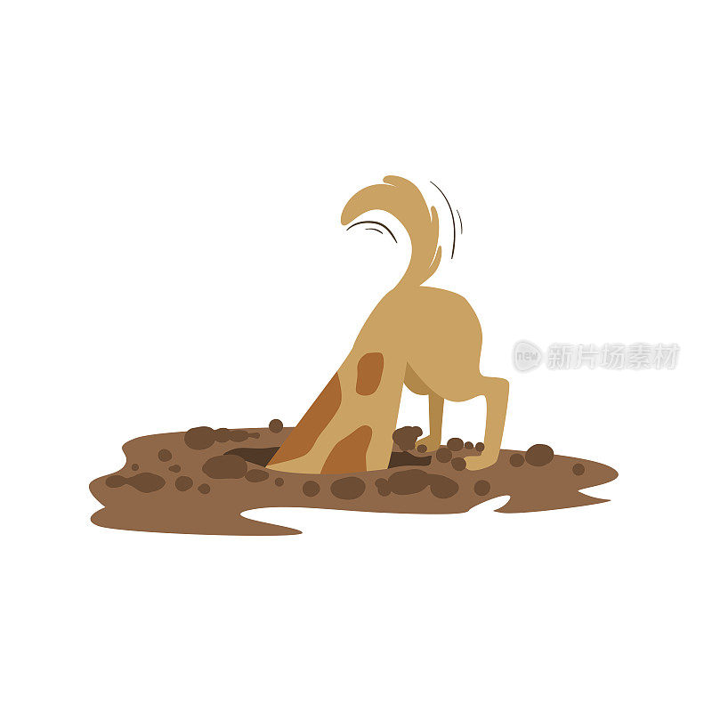 棕色宠物狗在花园里挖土，动物