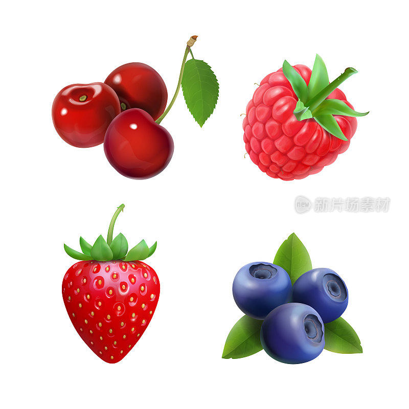 现实的浆果。草莓，覆盆子，蓝莓，樱桃插图。
