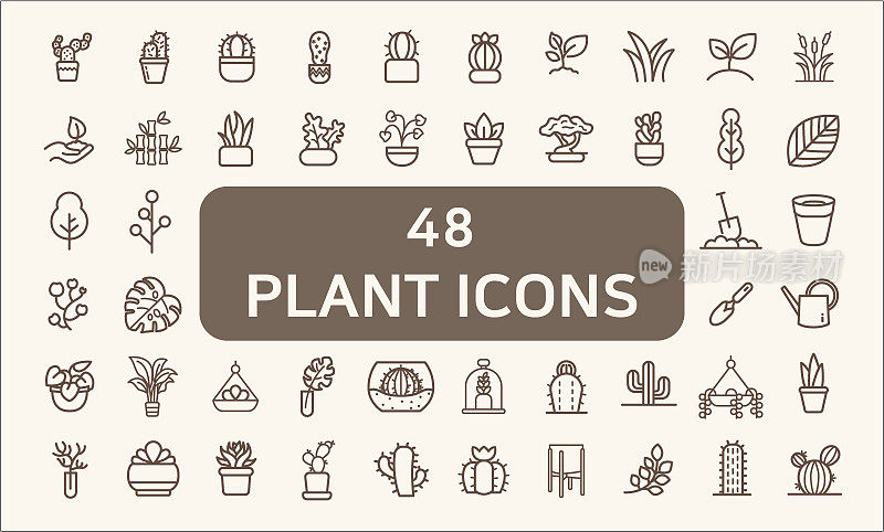 一组48种植物和仙人掌相关的矢量图标。包含如肉质，开花植物，怪兽，叶子，树叶，树枝，树，室内植物，陶土花盆和其他元素的图标。