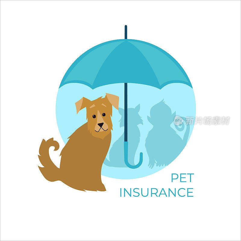 一只带伞的狗。宠物保险的概念。矢量插图。