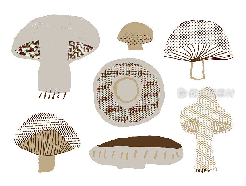 的蘑菇