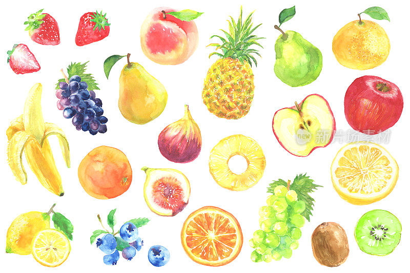 插图集各种水果画在水彩