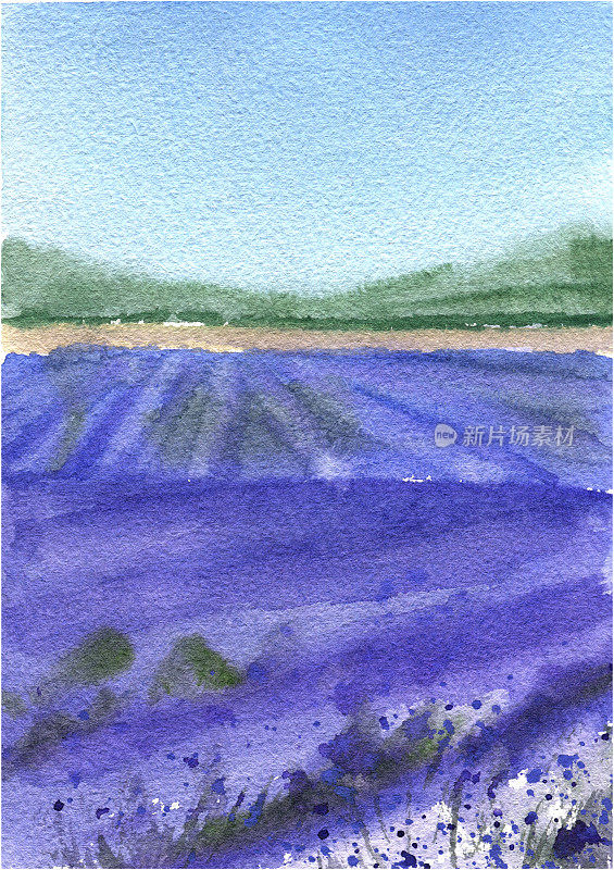 水彩薰衣草田，手绘法国普罗旺斯风景画。紫色的春天夏天的明信片，横幅