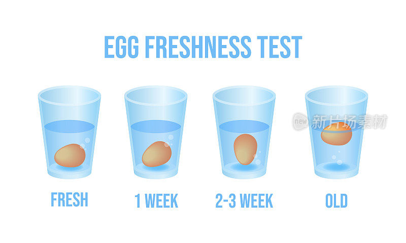 矢量插图鸡蛋漂浮在透明玻璃的水孤立在白色的背景上。蛋浮测试信息图形矢量图标在平面卡通风格。鸡蛋新鲜度的测试。检查到期日期。