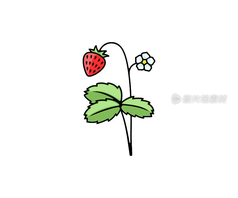 草莓和野生草莓，浆果矢量设计和插图。食物，自然，农业和农业，图标