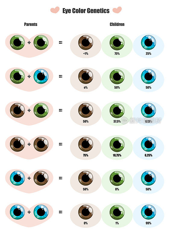 眼睛颜色板在儿童中占父母眼睛颜色的百分比。