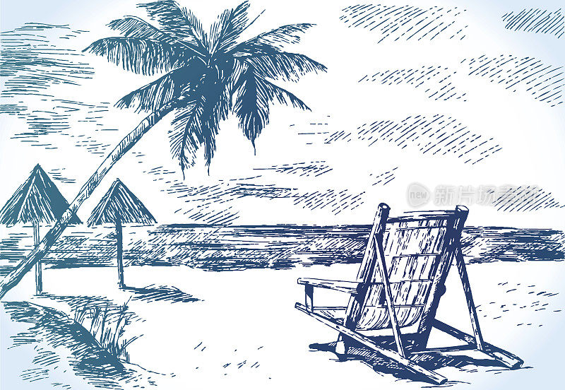 沙滩上有棕榈树